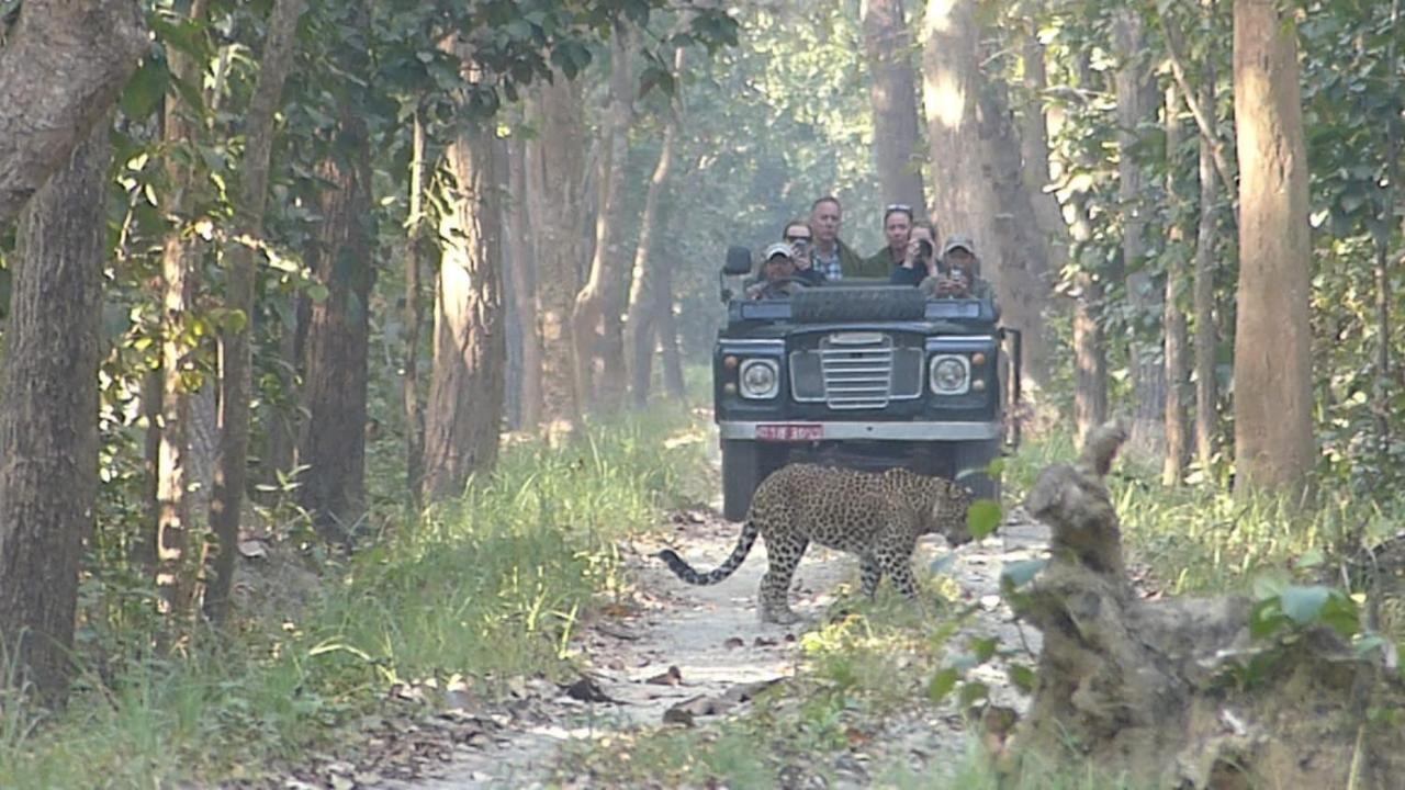 Tiger Tops Karnali Lodge Bardiya Ngoại thất bức ảnh