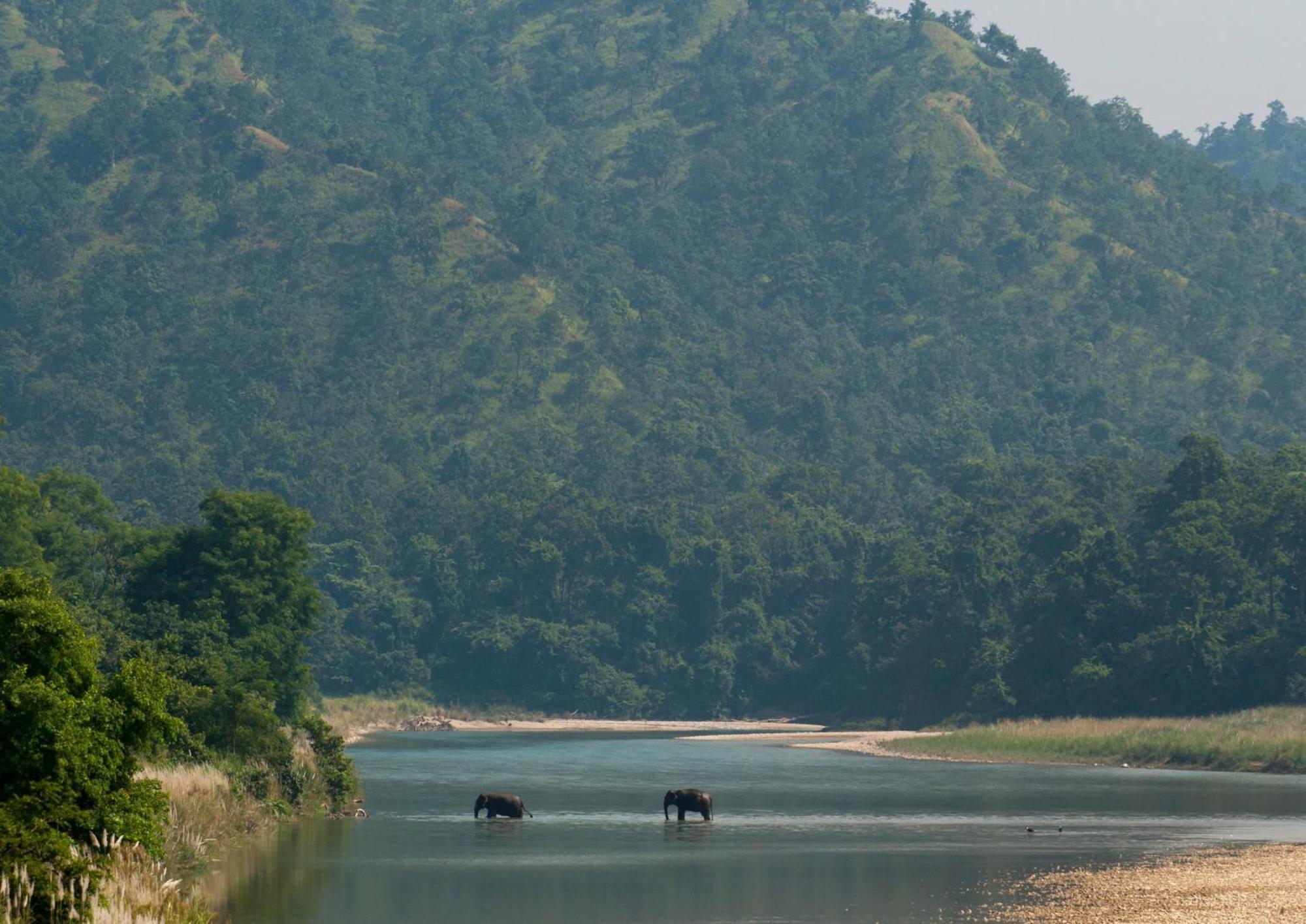 Tiger Tops Karnali Lodge Bardiya Ngoại thất bức ảnh