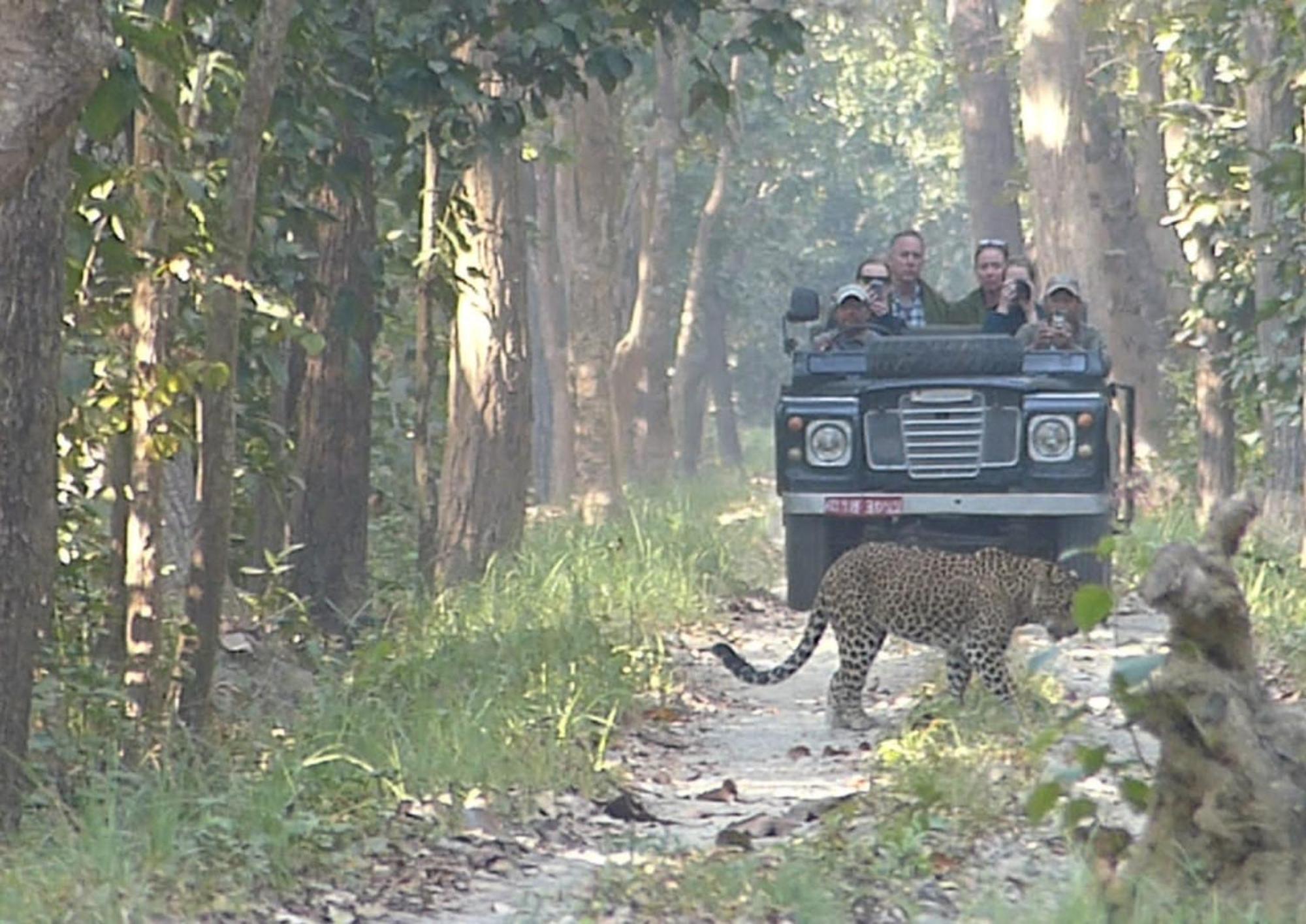 Tiger Tops Karnali Lodge Bardiya Ngoại thất bức ảnh
